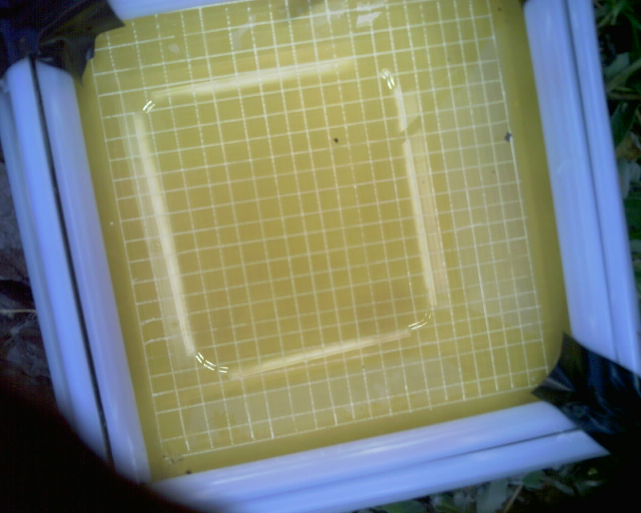 20260614_082849_SXGA_Q5.jpg