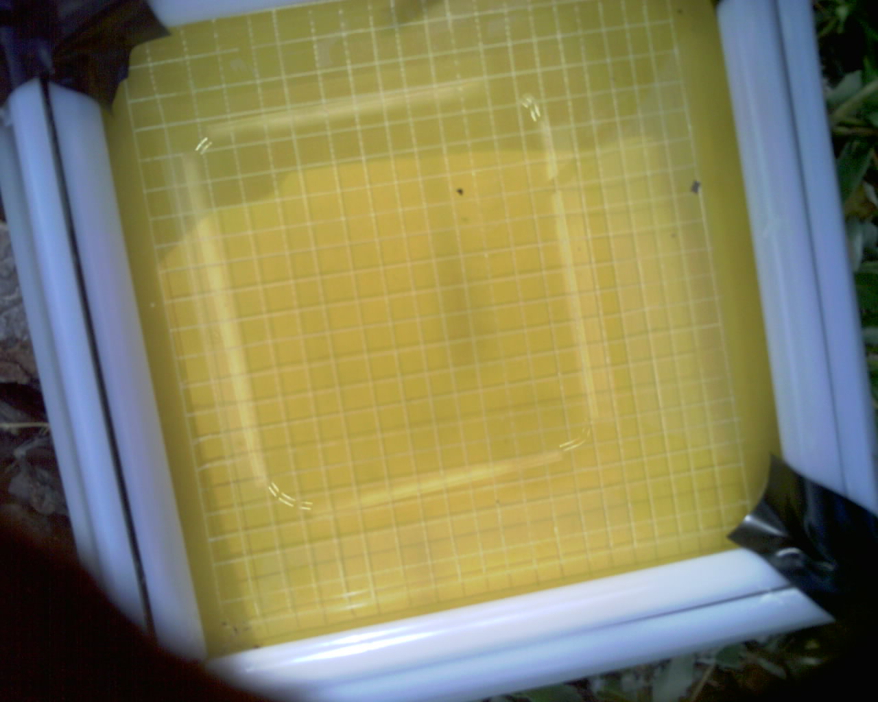 20260614_092358_SXGA_Q5.jpg