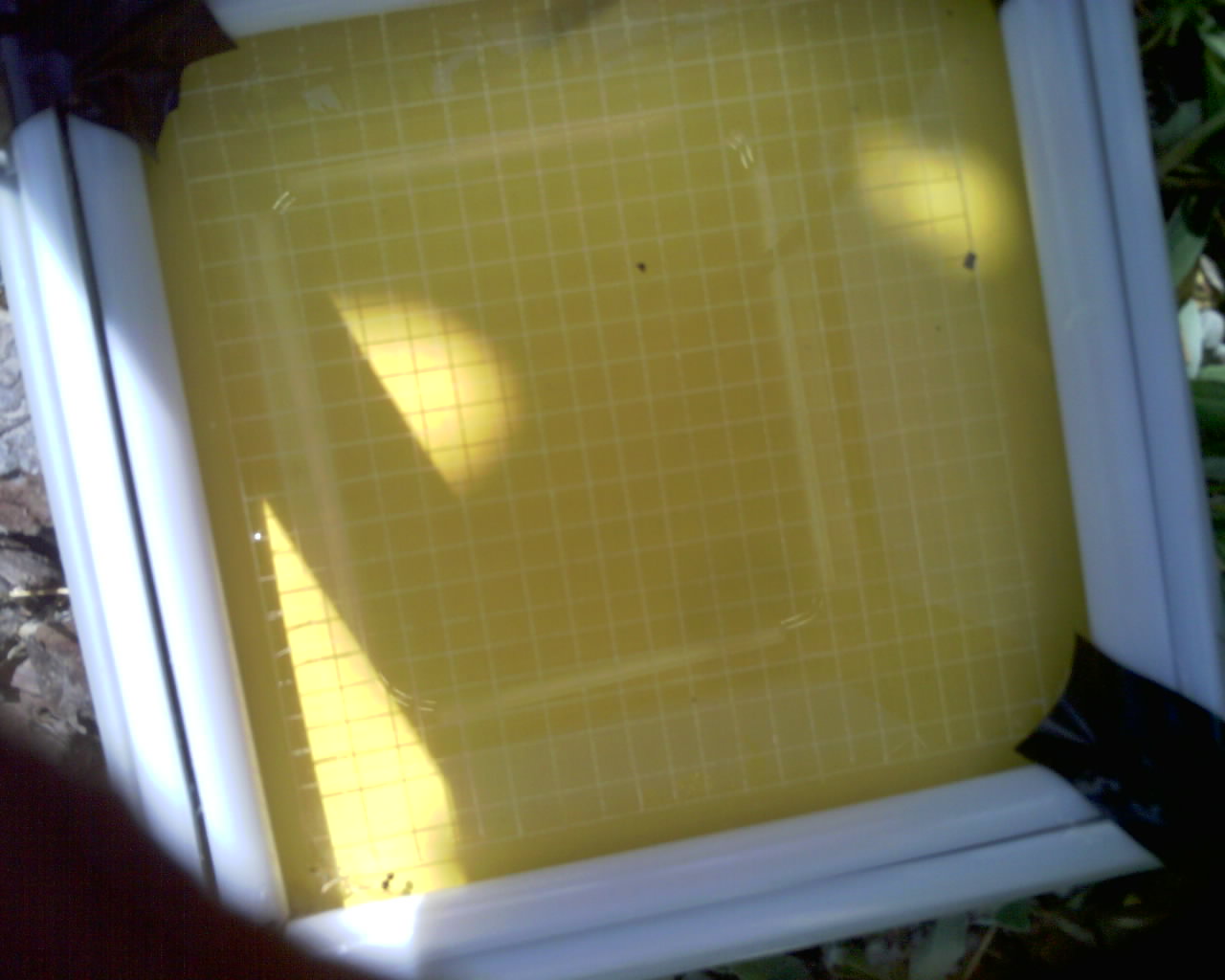20260614_112556_SXGA_Q5.jpg