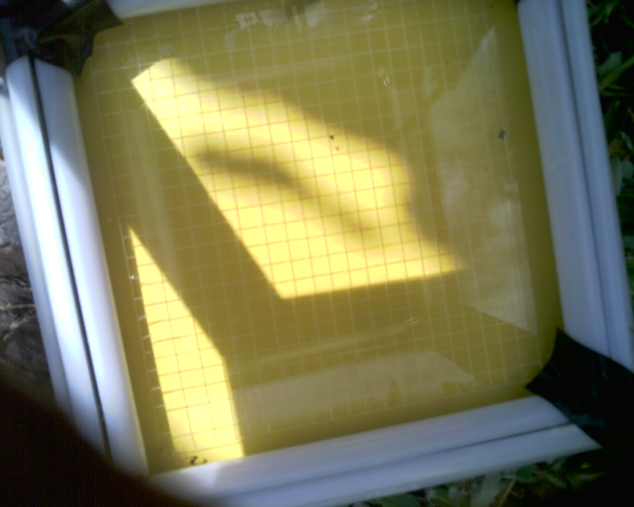 20260614_113847_SXGA_Q5.jpg