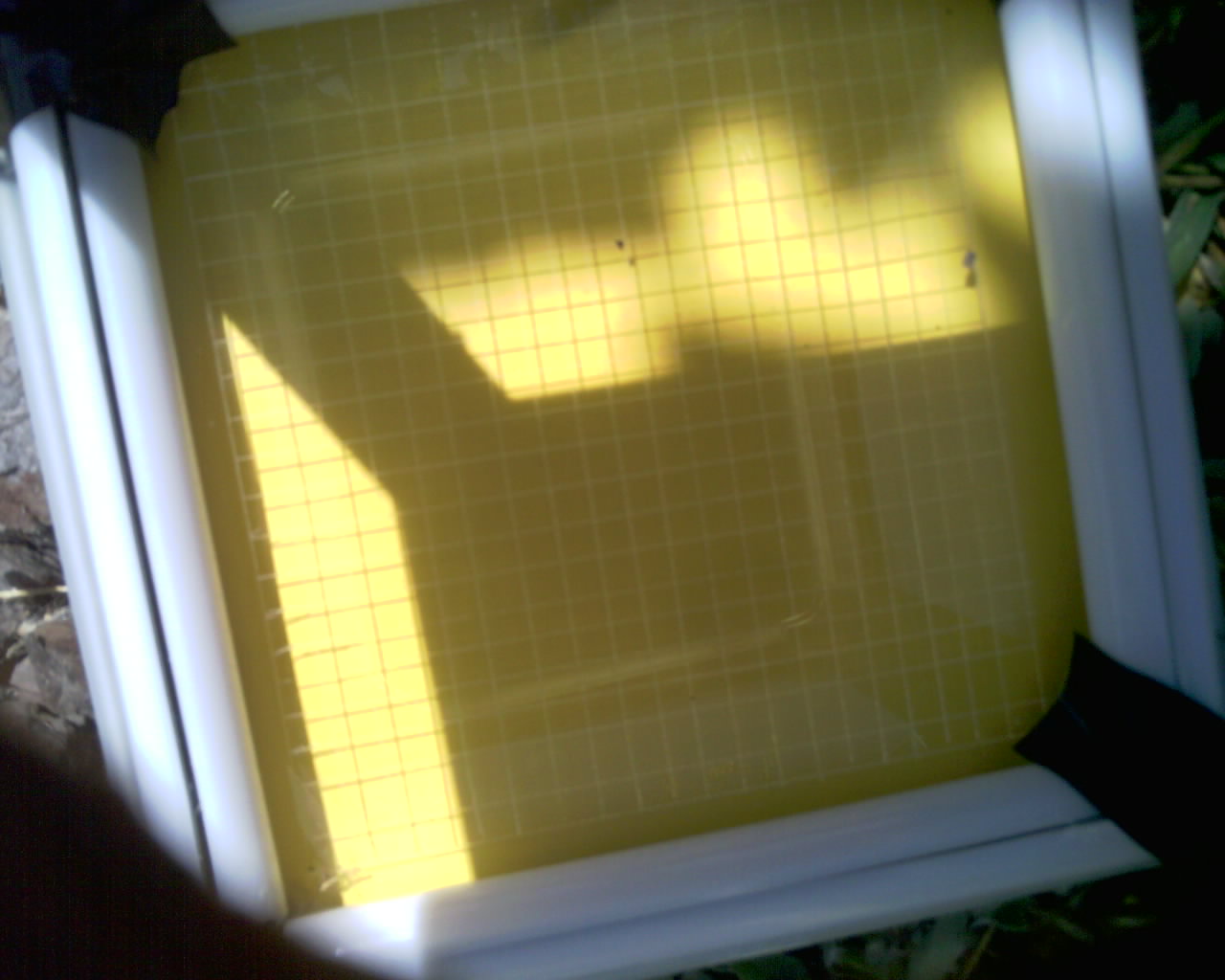 20260614_121007_SXGA_Q5.jpg