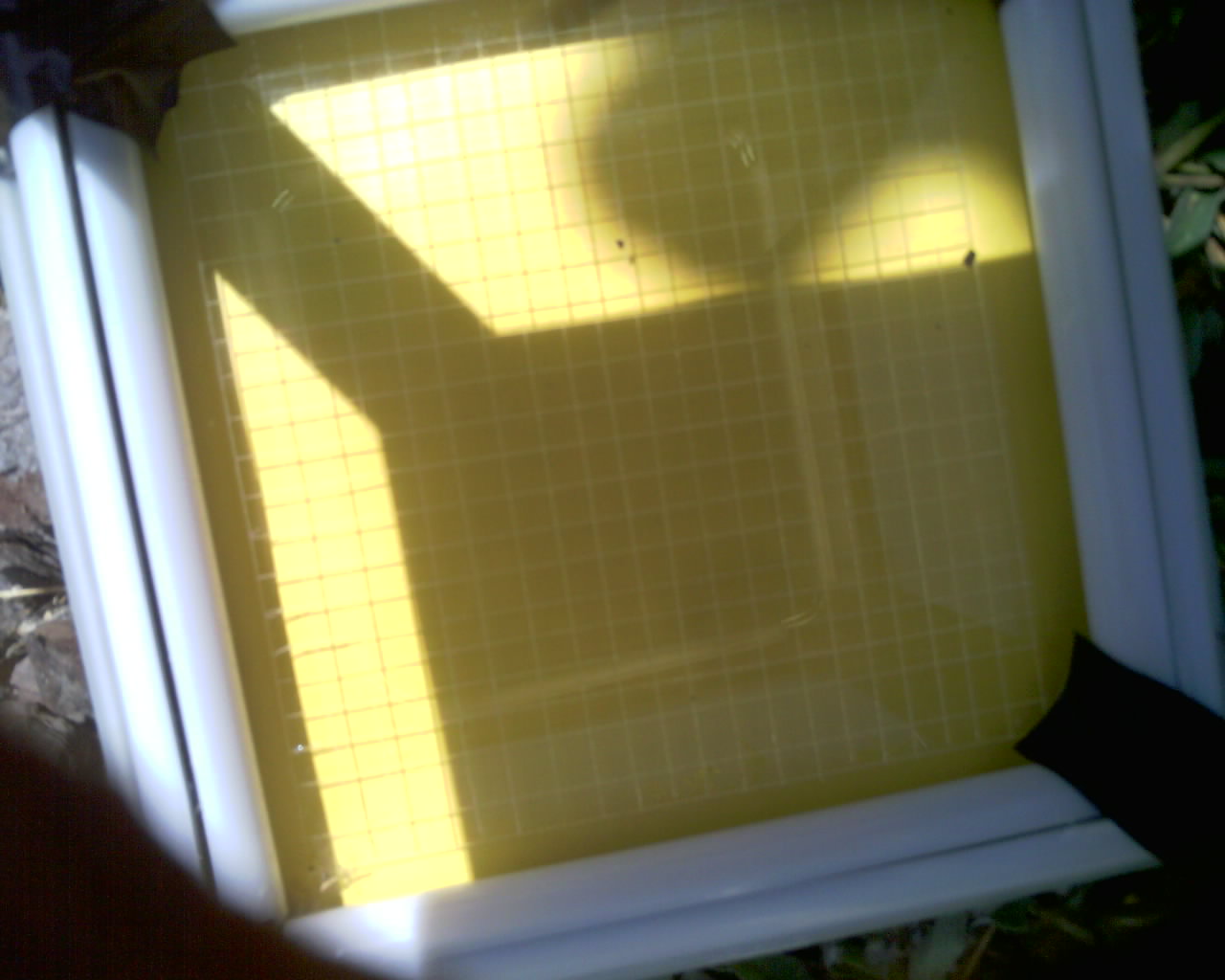 20260614_122259_SXGA_Q5.jpg