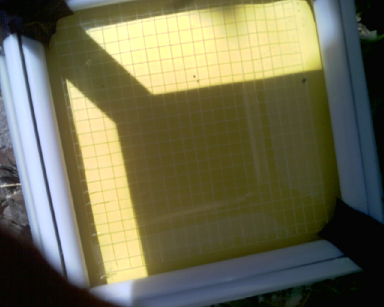 20260614_122916_SXGA_Q5.jpg