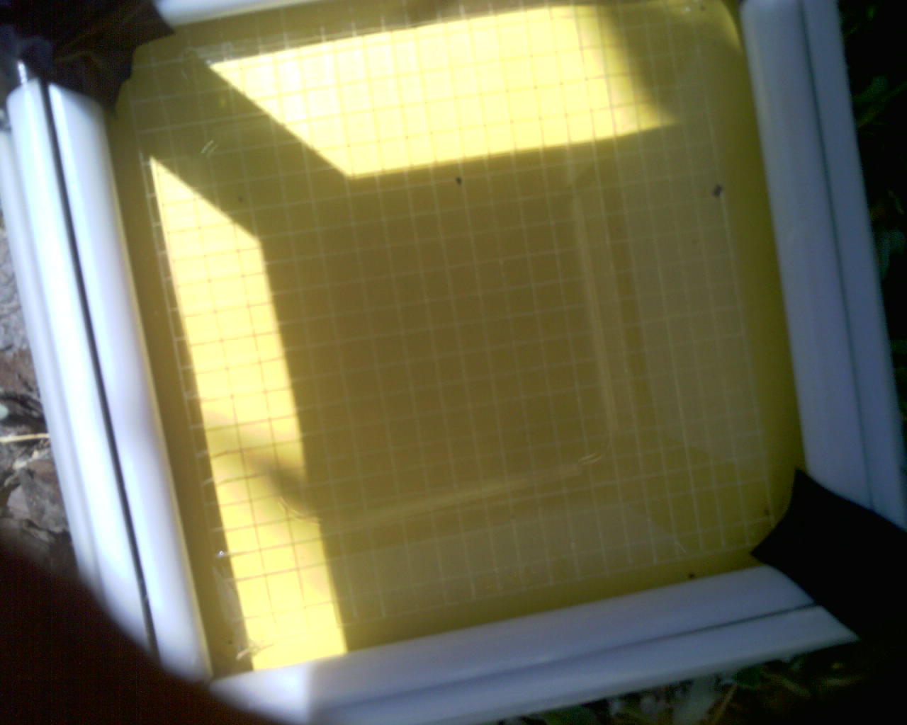 20260614_124114_SXGA_Q5.jpg