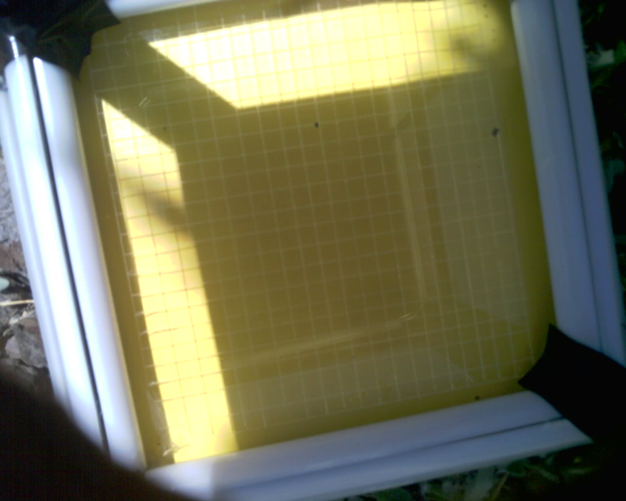 20260614_124716_SXGA_Q5.jpg