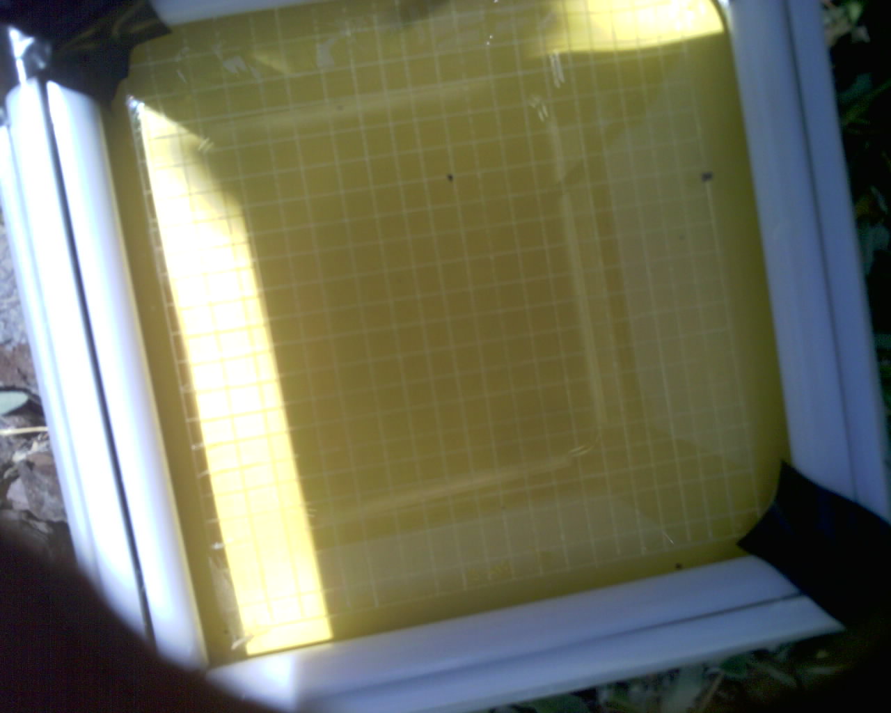 20260614_130459_SXGA_Q5.jpg