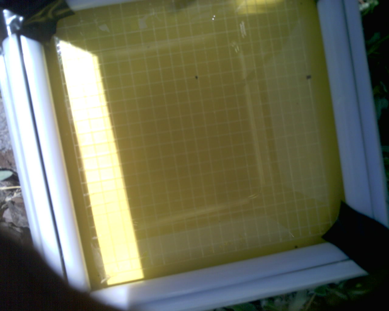 20260614_131103_SXGA_Q5.jpg