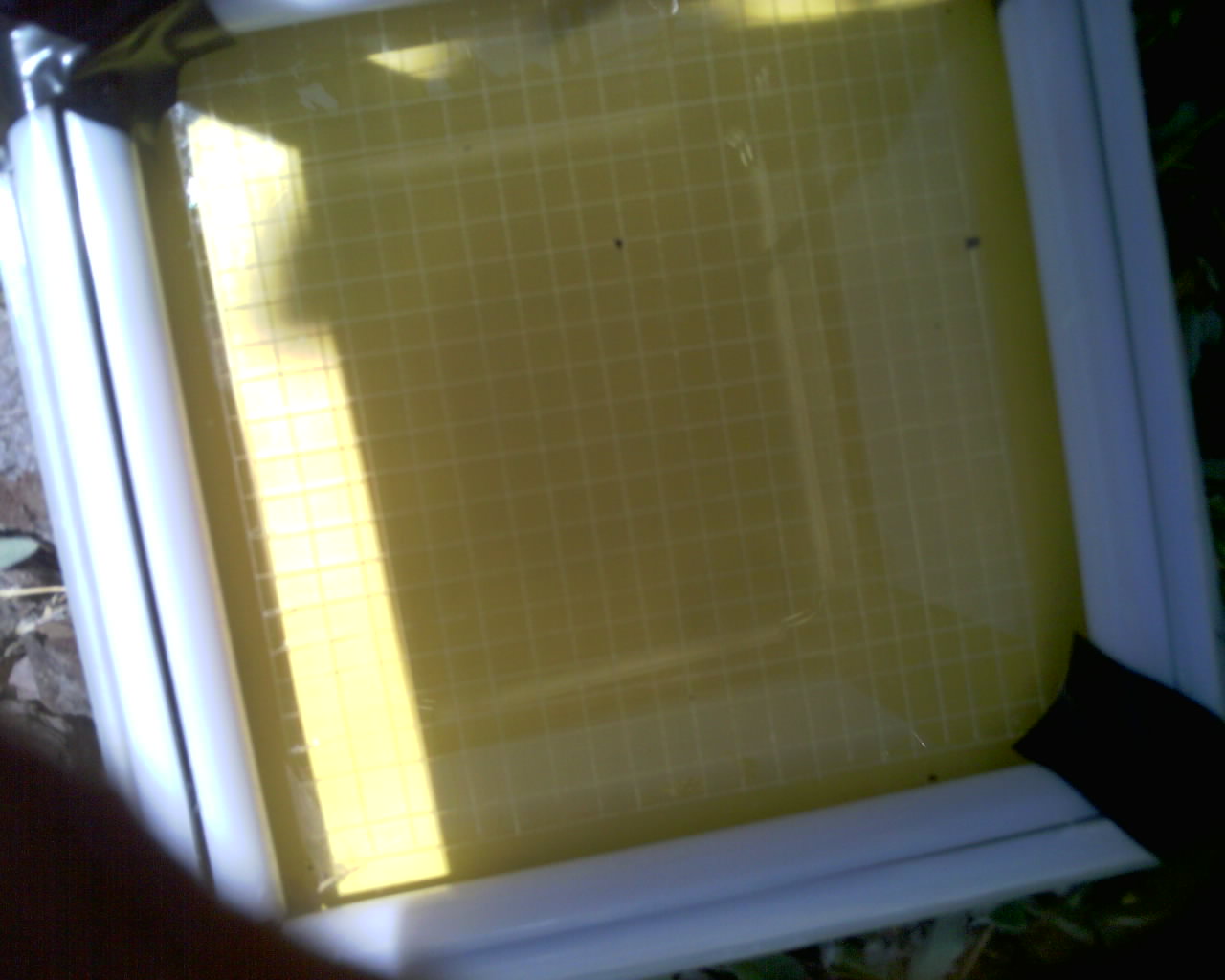 20260614_131646_SXGA_Q5.jpg