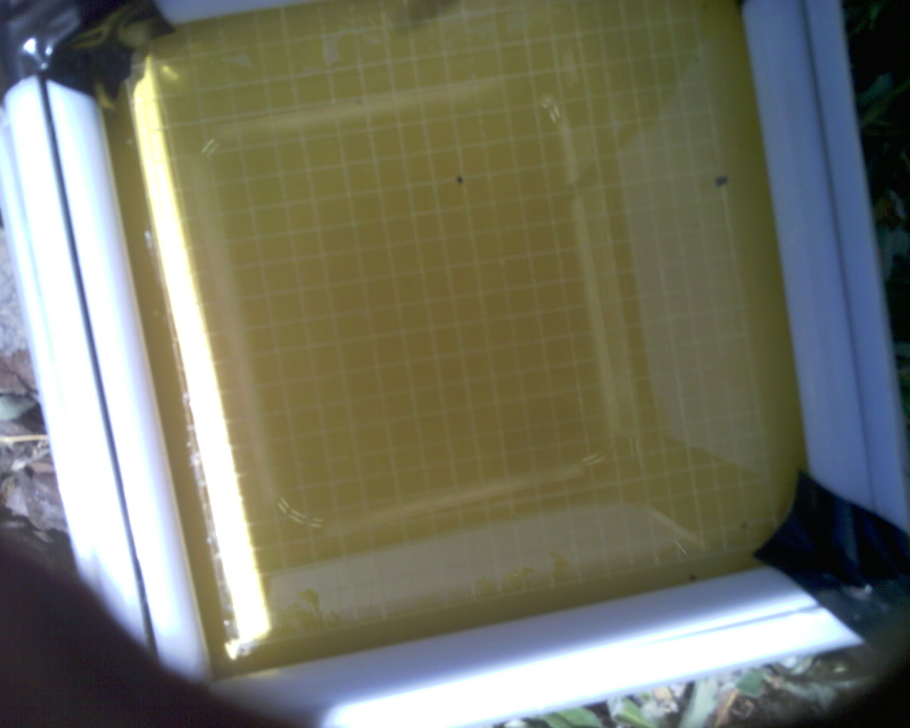 20260614_144329_SXGA_Q5.jpg