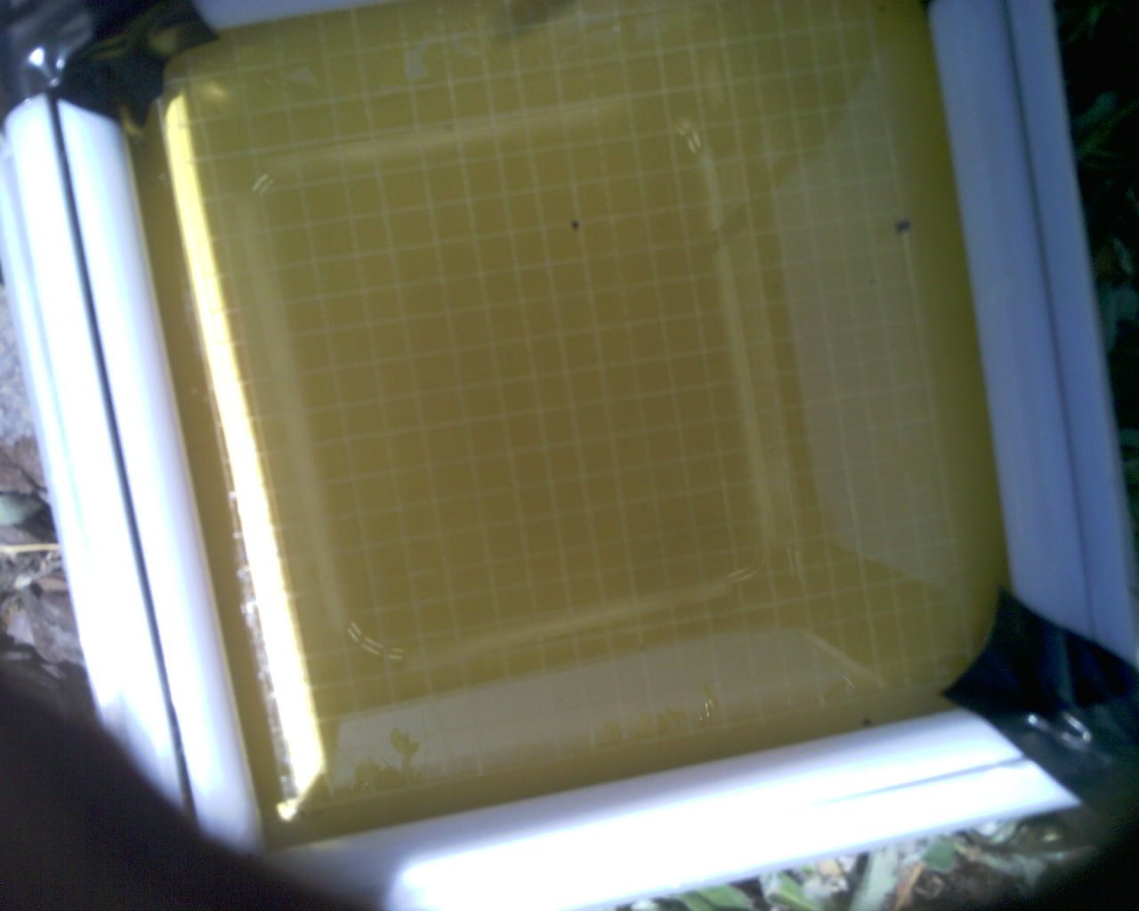 20260614_144917_SXGA_Q5.jpg