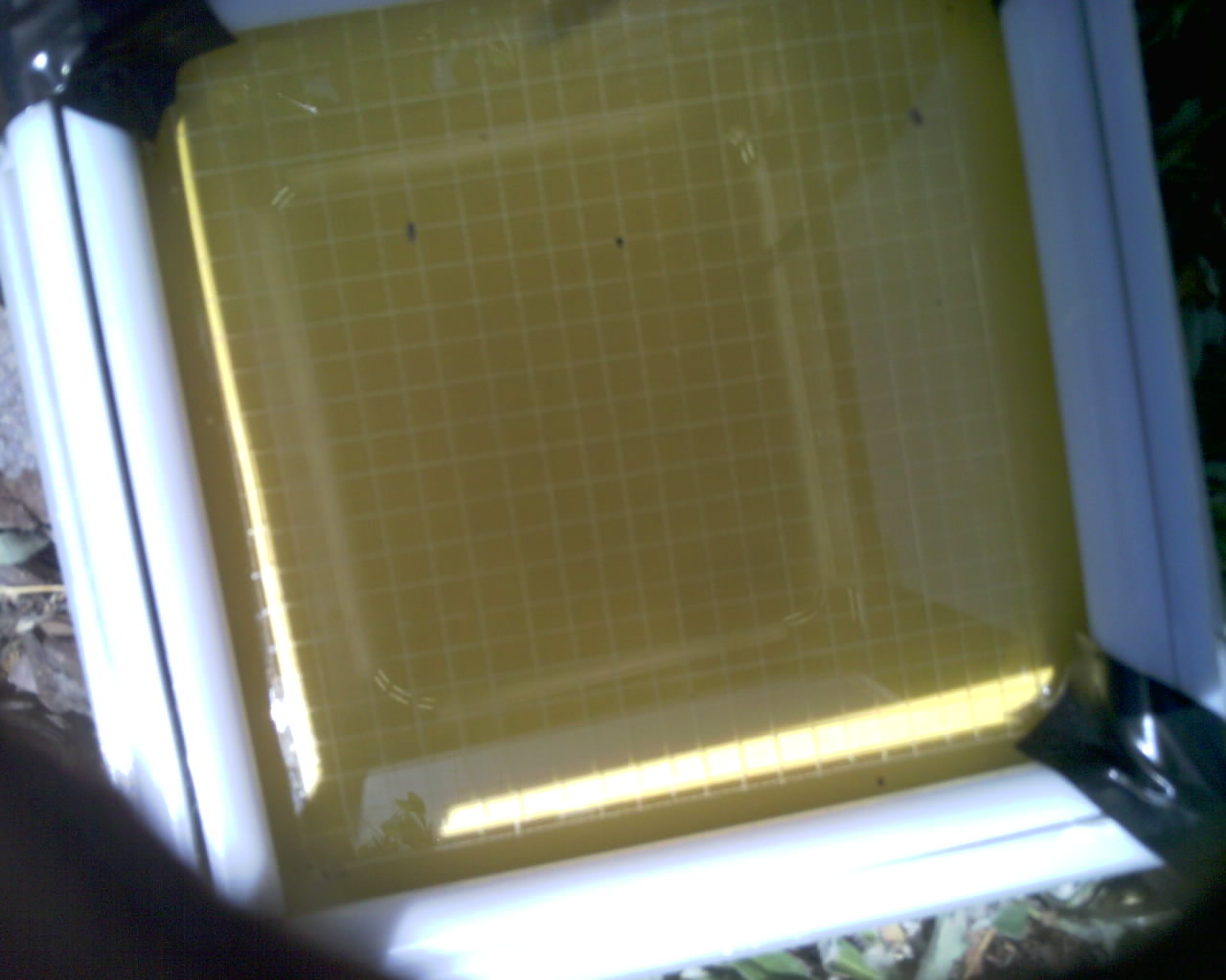 20260614_150123_SXGA_Q5.jpg