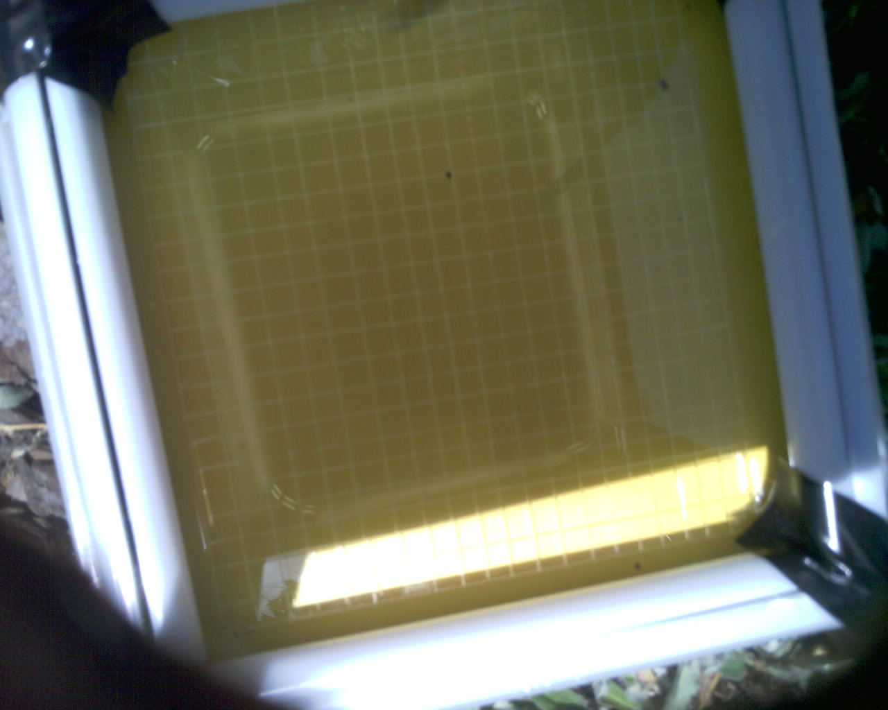 20260614_151430_SXGA_Q5.jpg