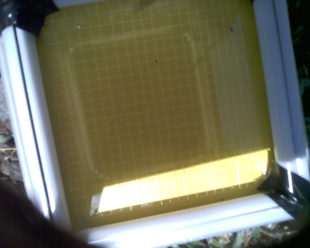 20260614_152107_SXGA_Q5.jpg