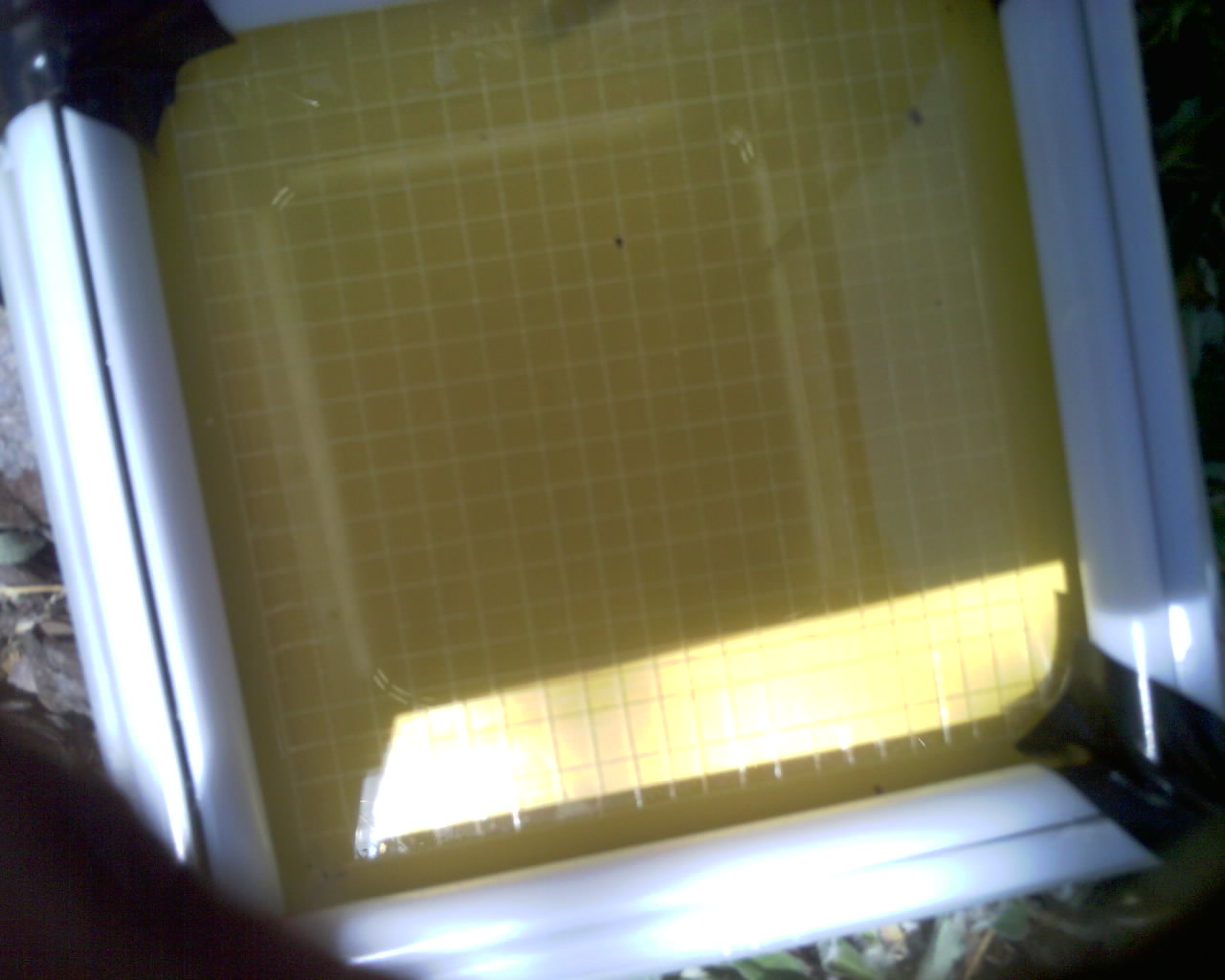 20260614_152747_SXGA_Q5.jpg