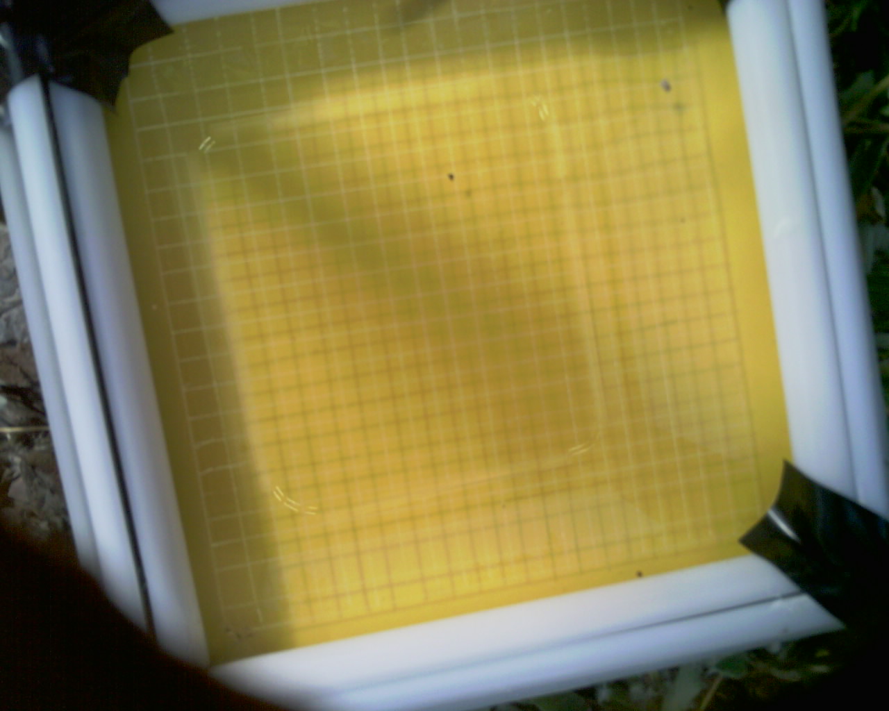 20260614_184446_SXGA_Q3.jpg
