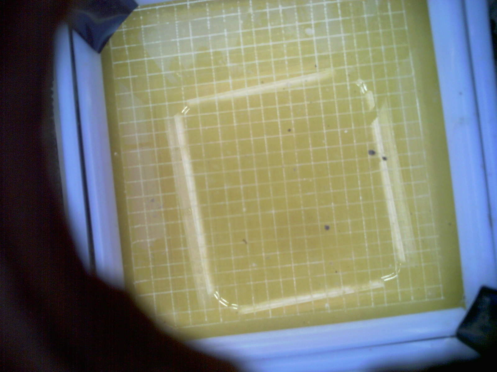 20260701_075851_UXGA_Q3.jpg