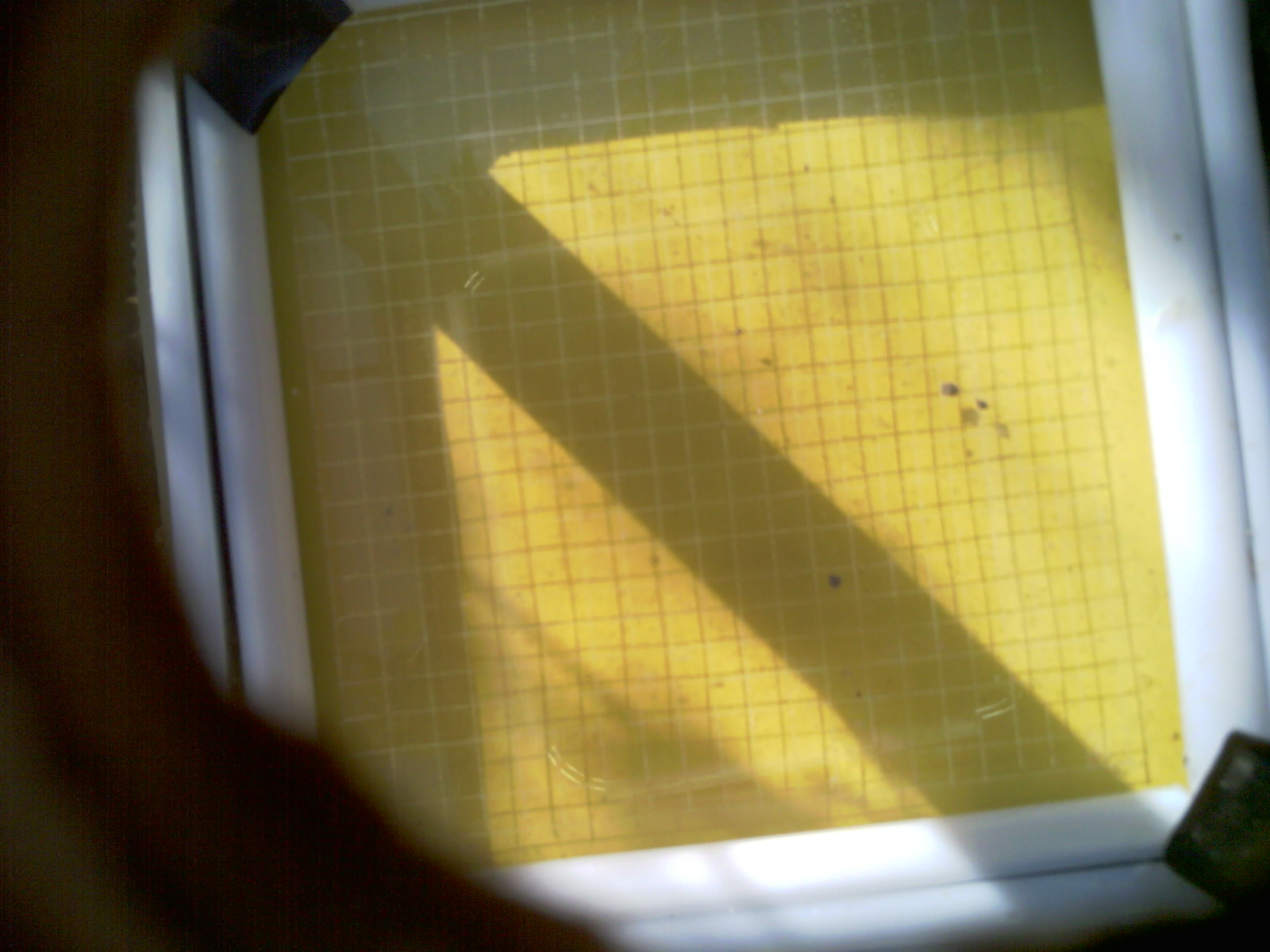 20260701_090104_UXGA_Q3.jpg