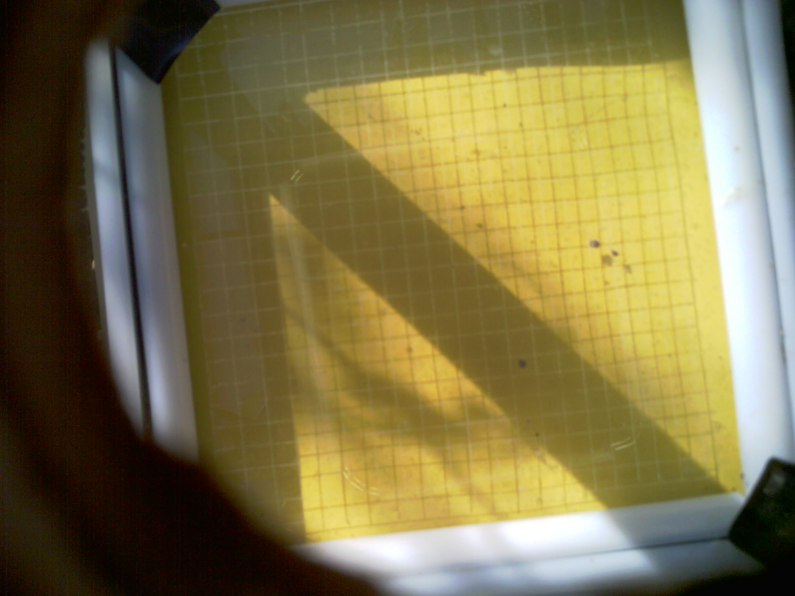 20260701_090744_UXGA_Q3.jpg