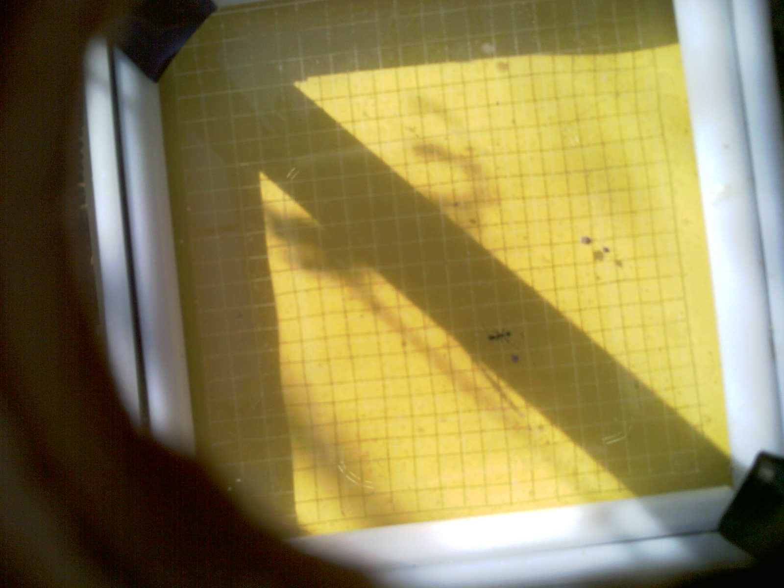 20260701_092022_UXGA_Q3.jpg