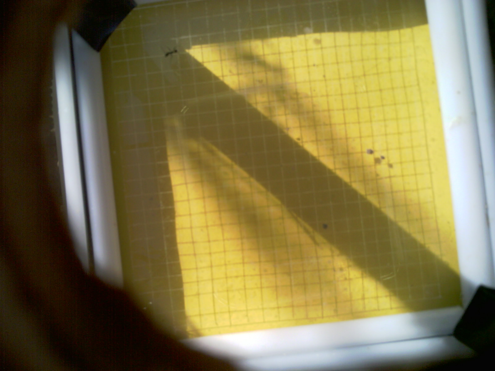 20260701_092622_UXGA_Q3.jpg