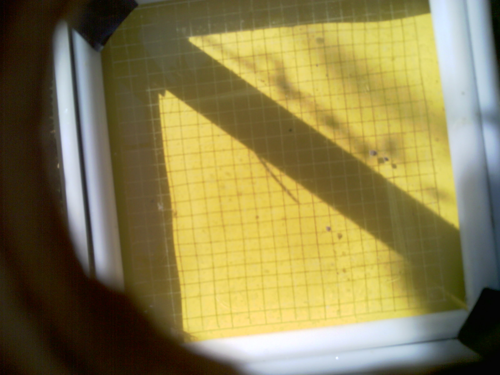 20260701_095351_UXGA_Q3.jpg