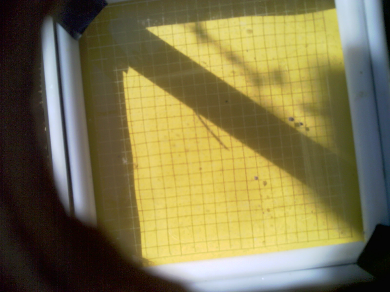 20260701_100047_UXGA_Q3.jpg