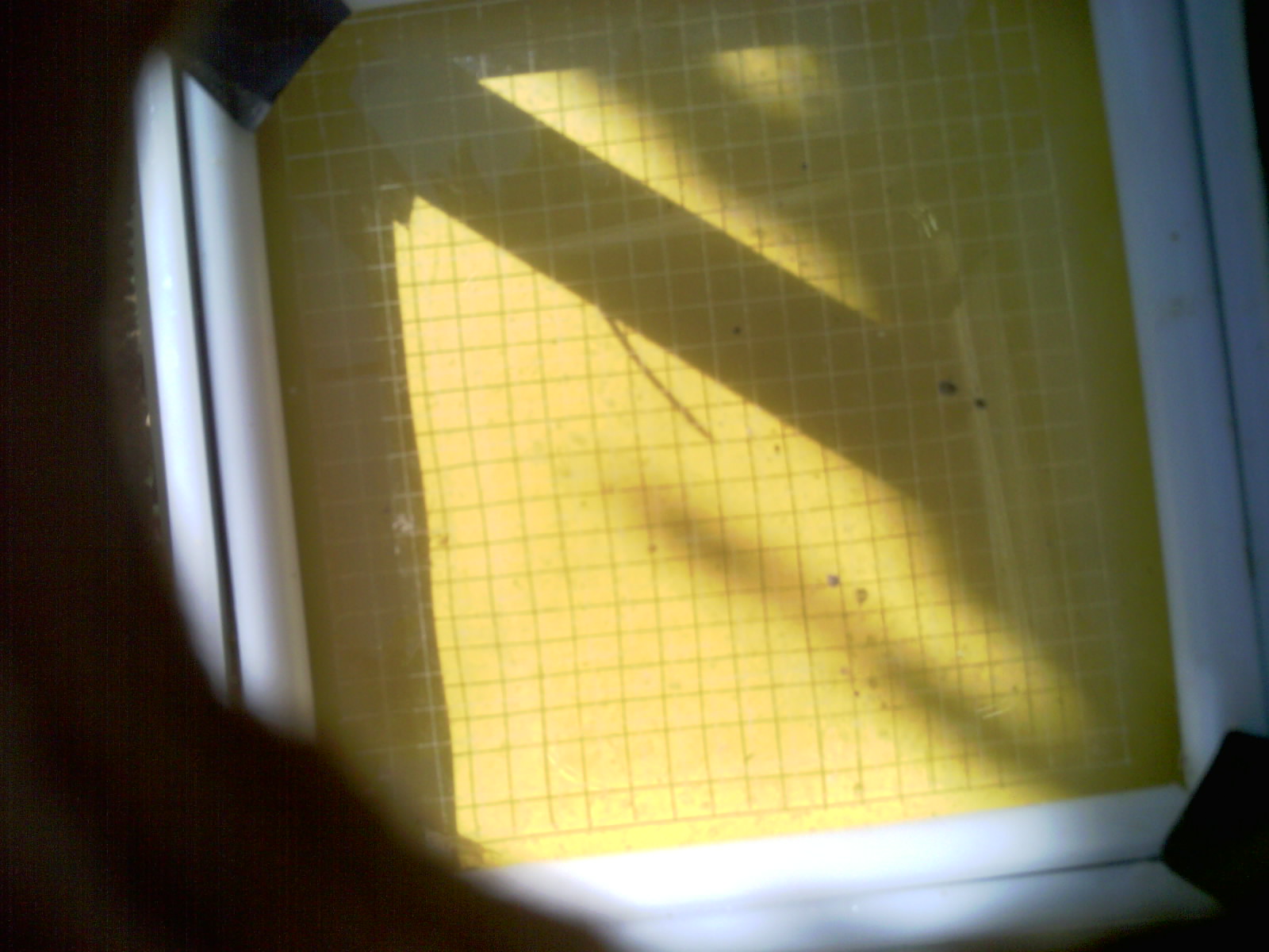 20260701_101348_UXGA_Q3.jpg