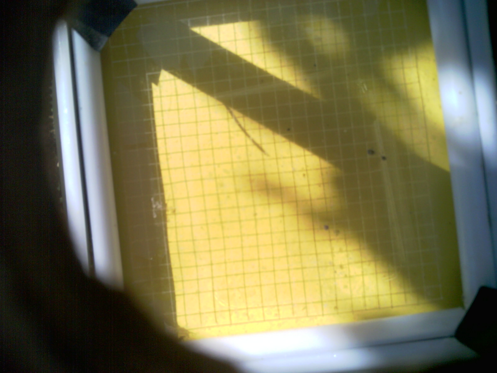 20260701_102735_UXGA_Q3.jpg