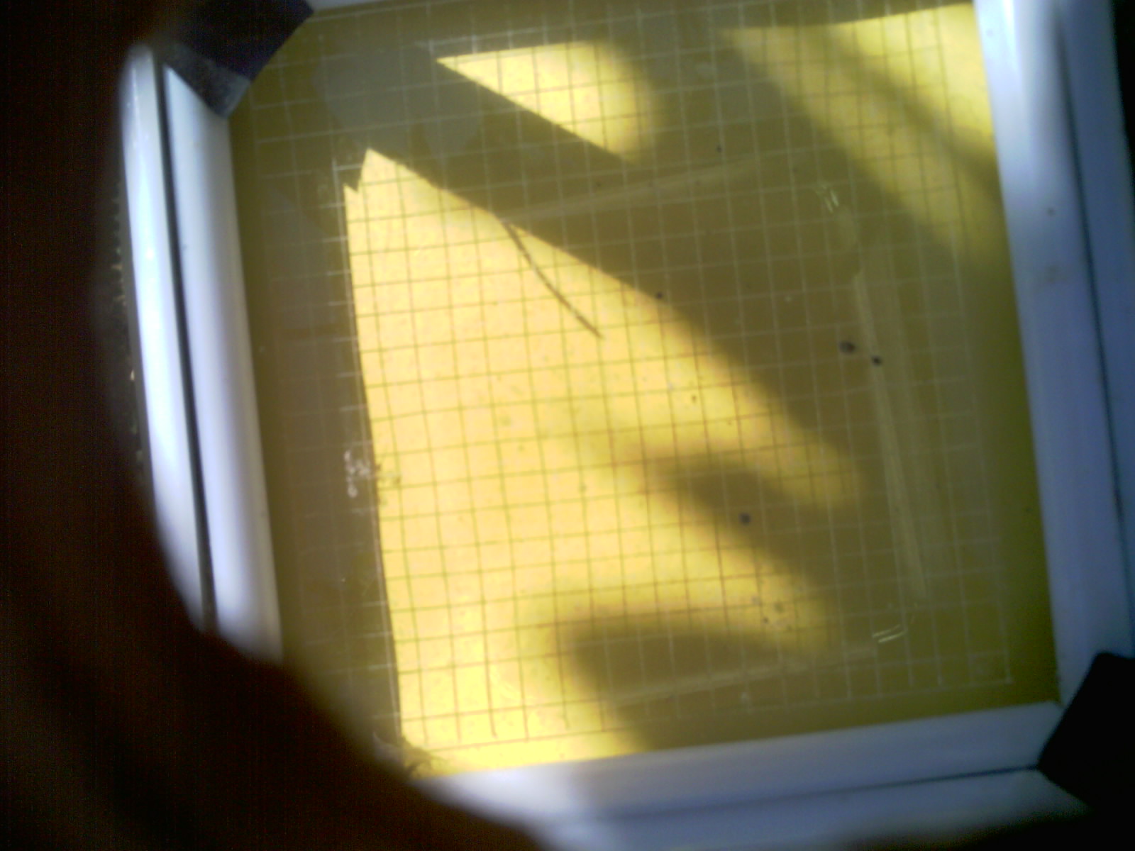 20260701_103416_UXGA_Q3.jpg