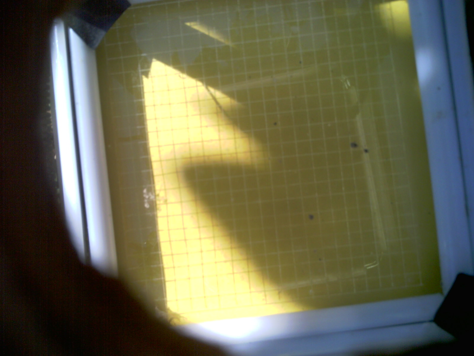 20260701_104007_UXGA_Q3.jpg