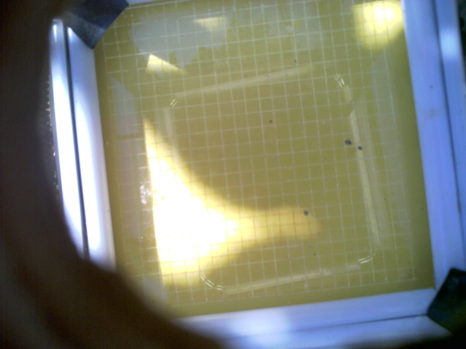 20260701_104611_UXGA_Q3.jpg