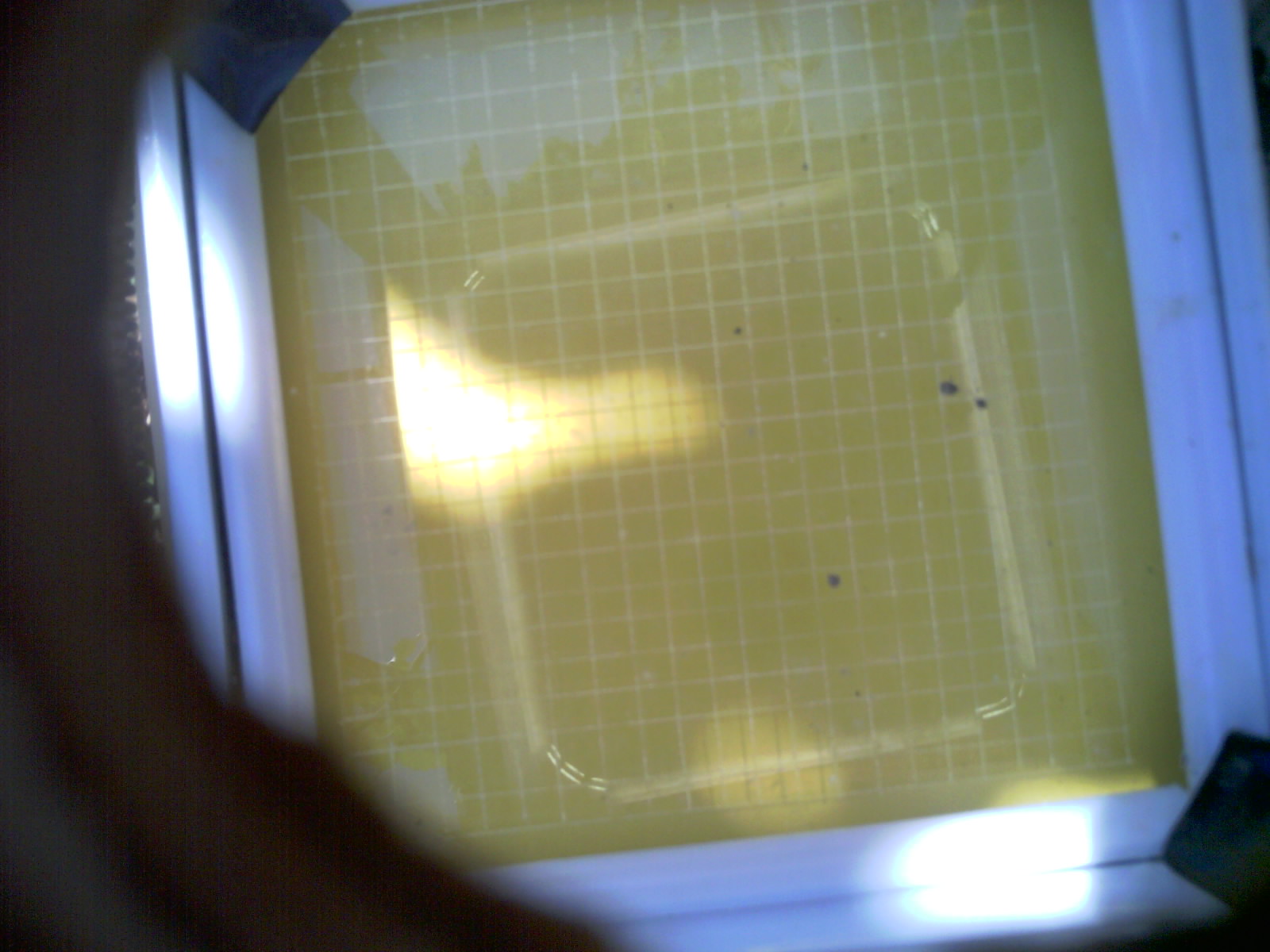 20260701_105204_UXGA_Q3.jpg