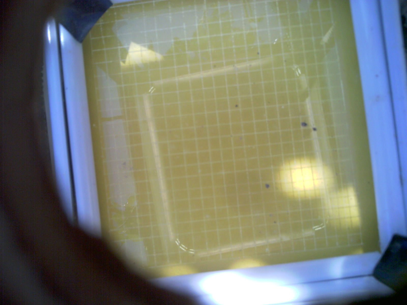20260701_105801_UXGA_Q3.jpg