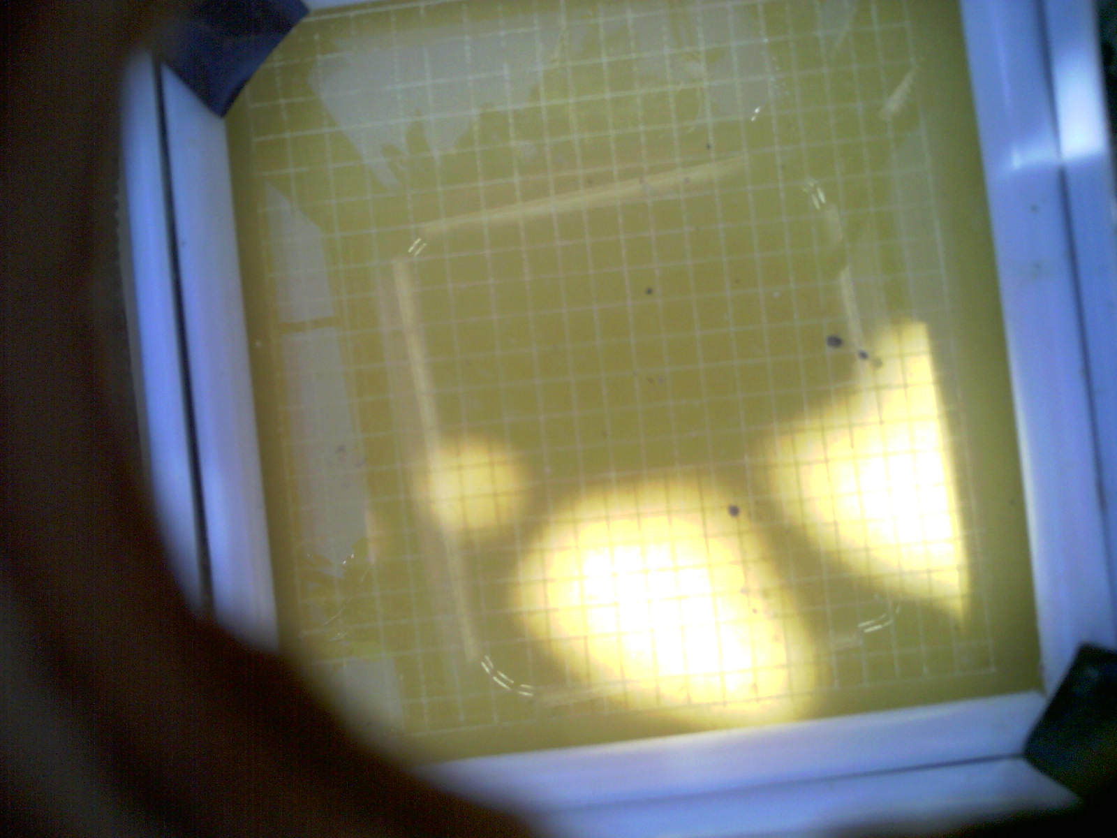 20260701_110559_UXGA_Q3.jpg