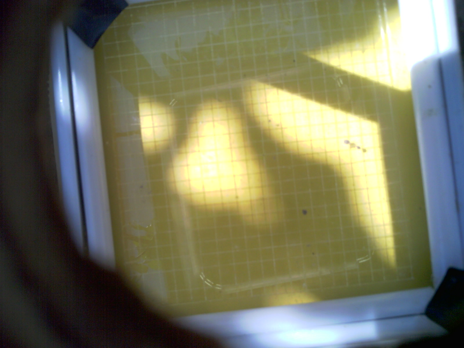 20260701_111145_UXGA_Q3.jpg