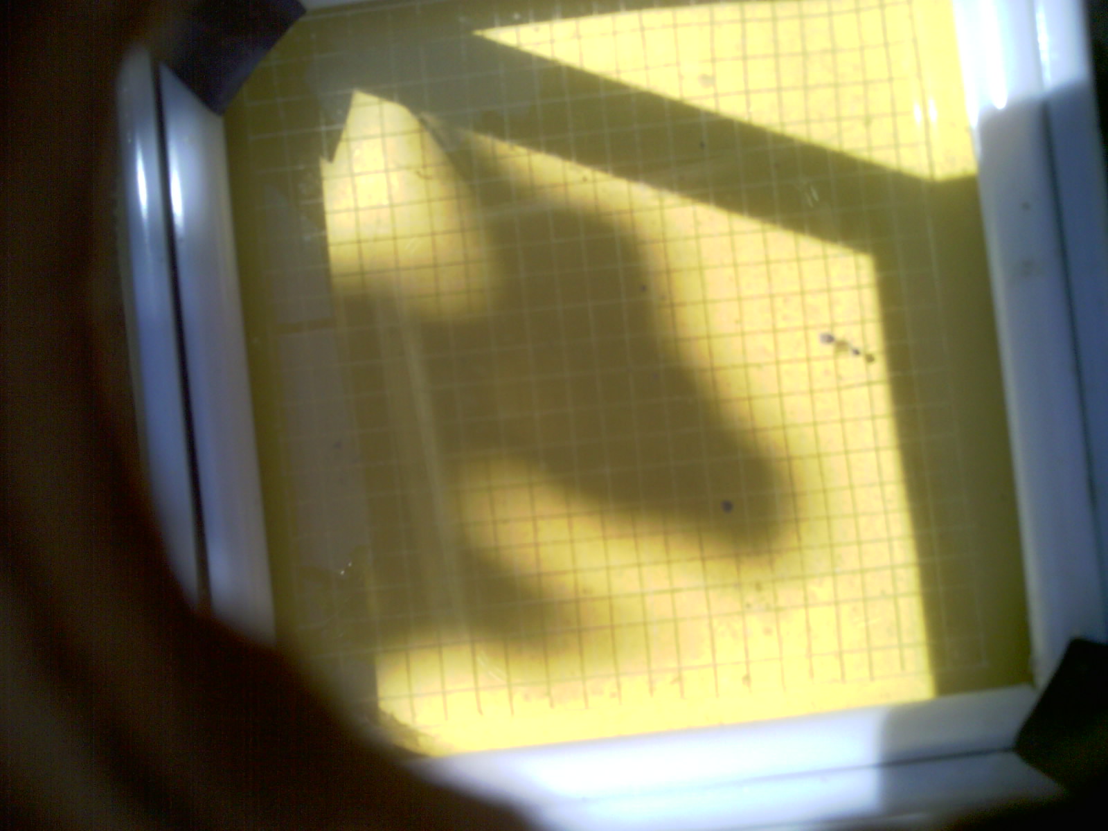 20260701_111759_UXGA_Q3.jpg