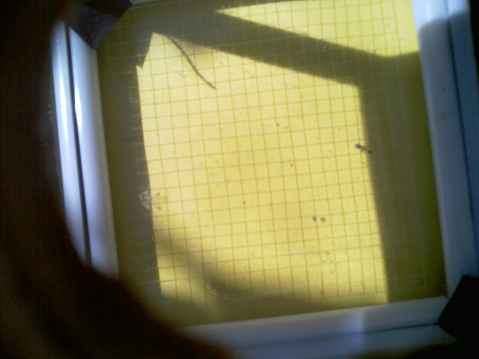 20260701_112920_UXGA_Q3.jpg