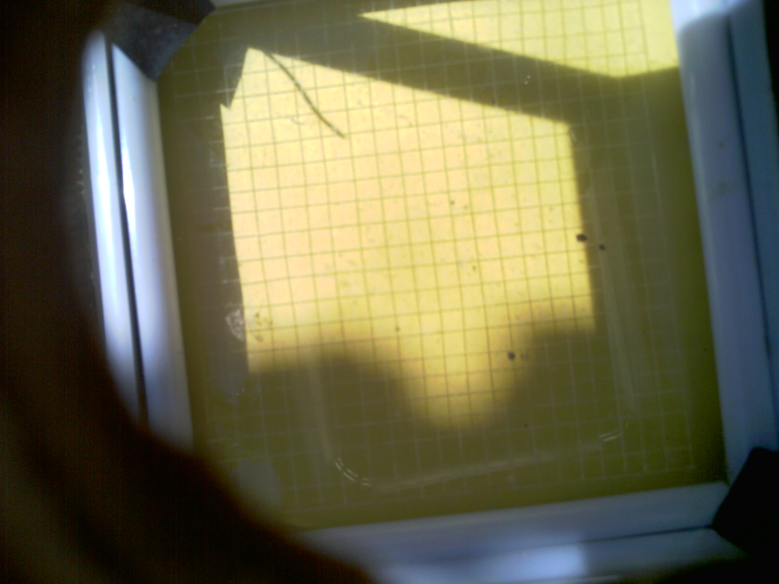 20260701_113501_UXGA_Q3.jpg