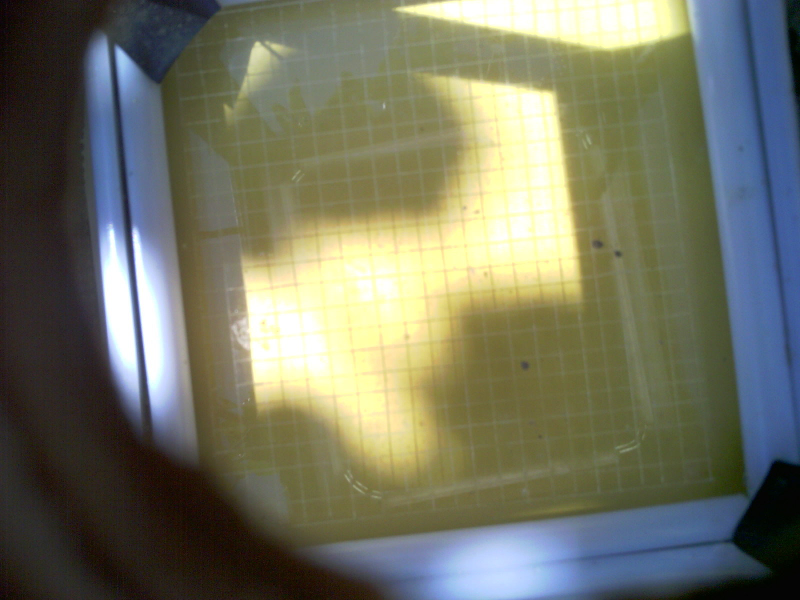 20260701_114631_UXGA_Q3.jpg