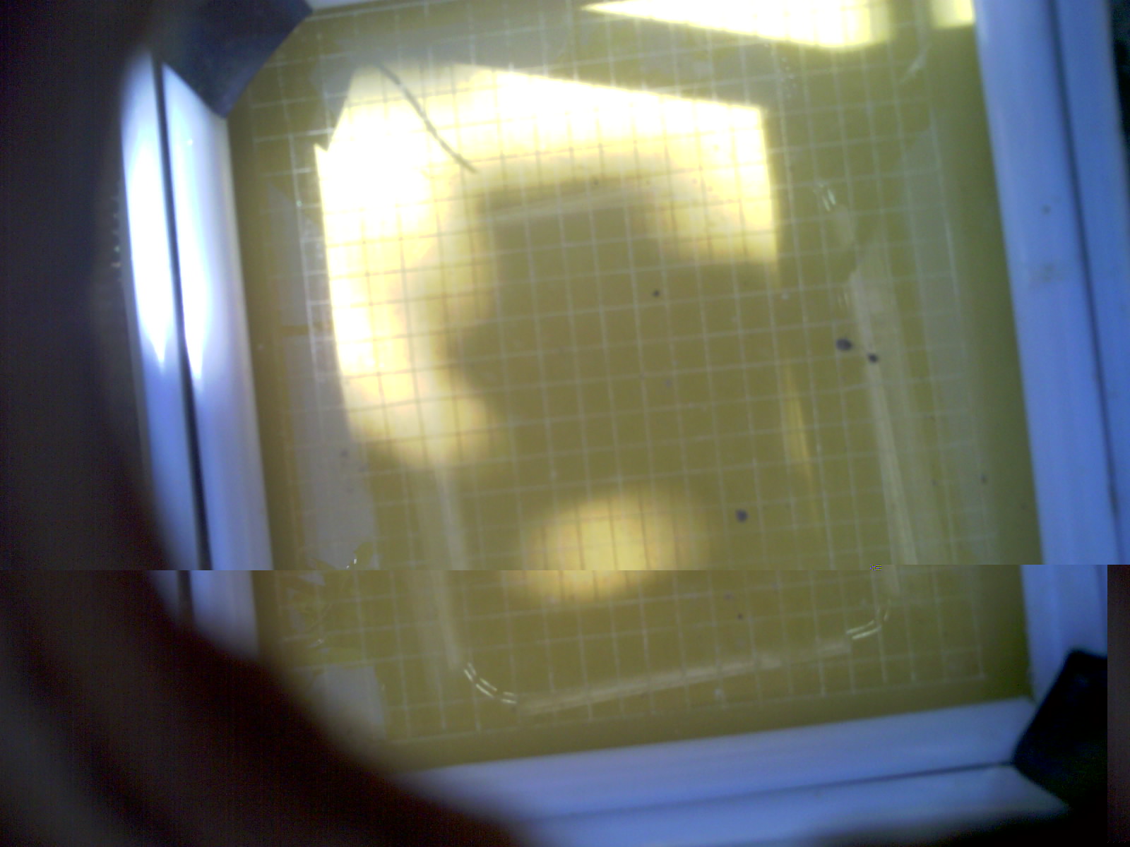 20260701_115216_UXGA_Q3.jpg