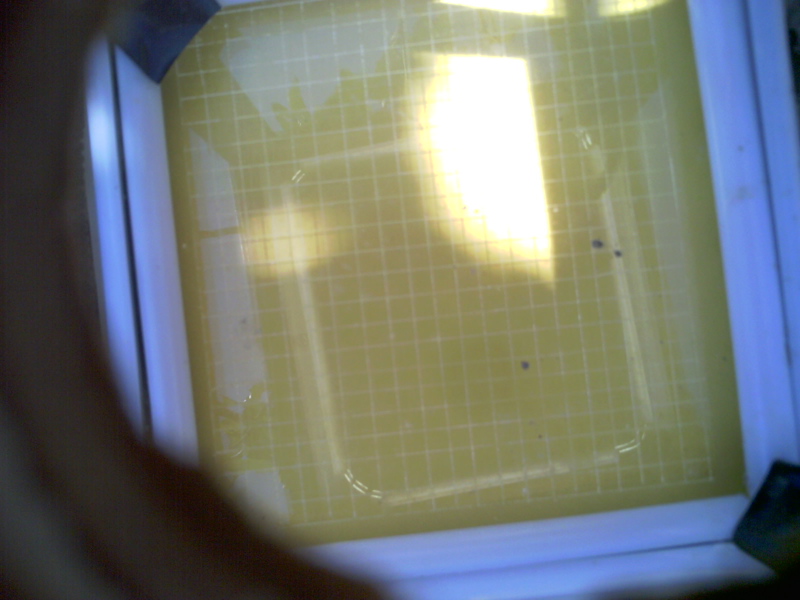 20260701_120045_UXGA_Q3.jpg