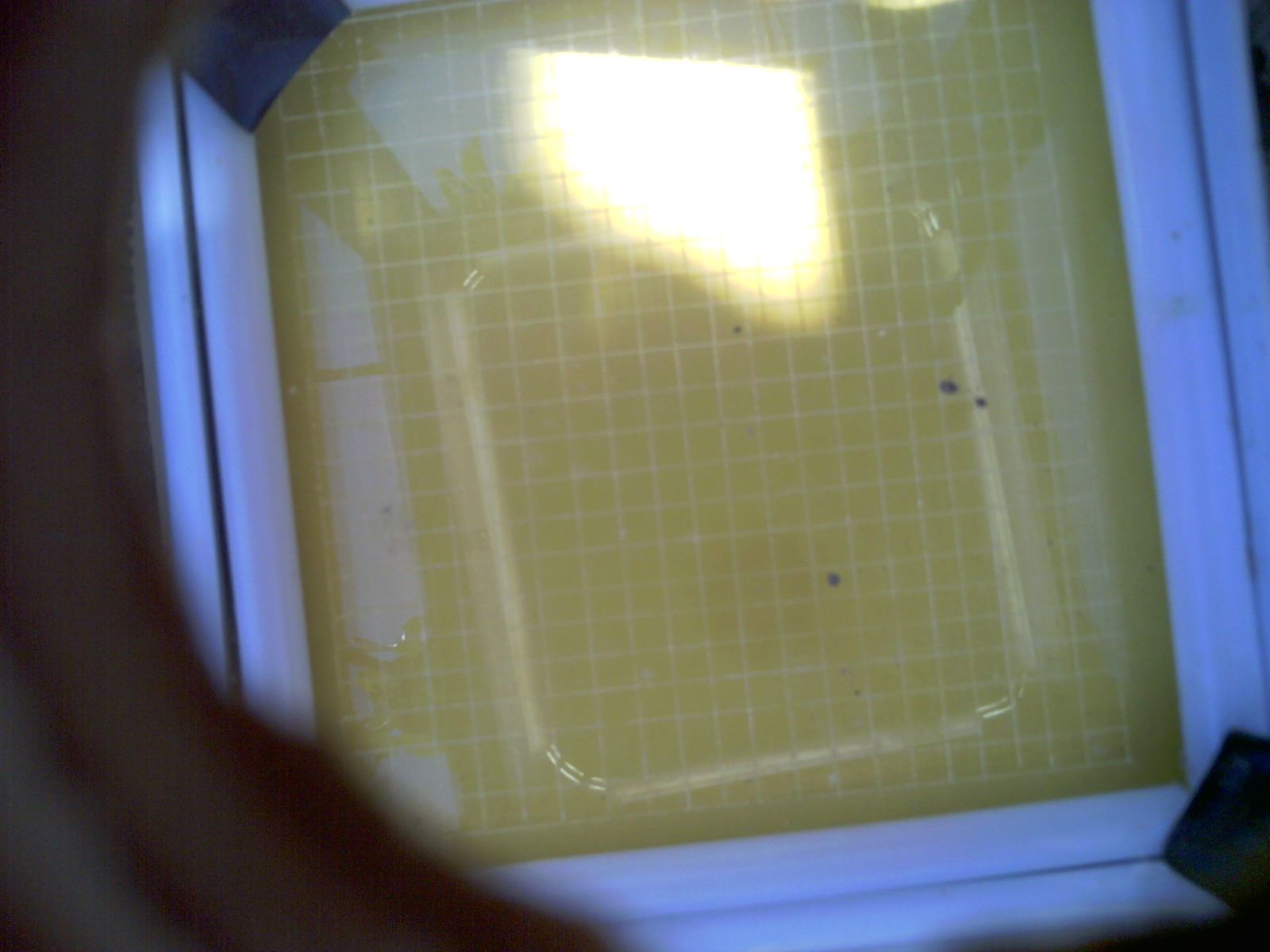 20260701_120820_UXGA_Q3.jpg