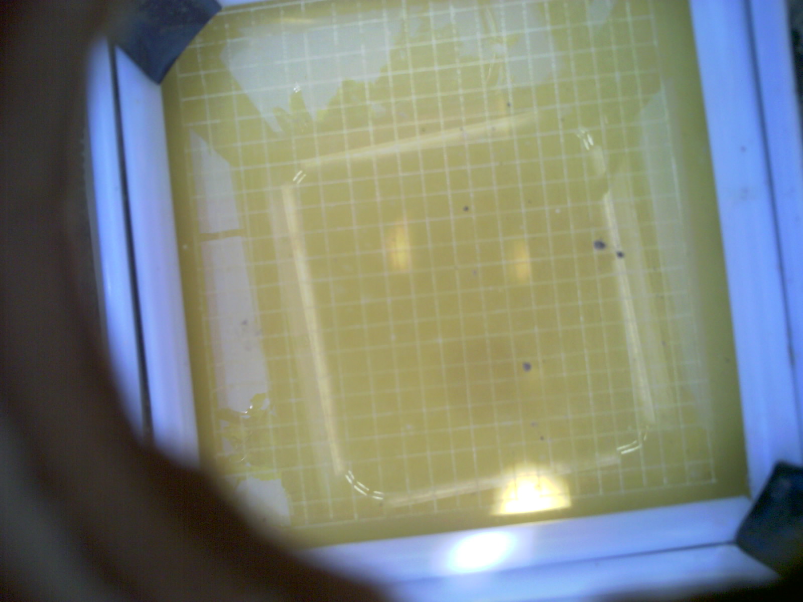 20260701_121421_UXGA_Q3.jpg