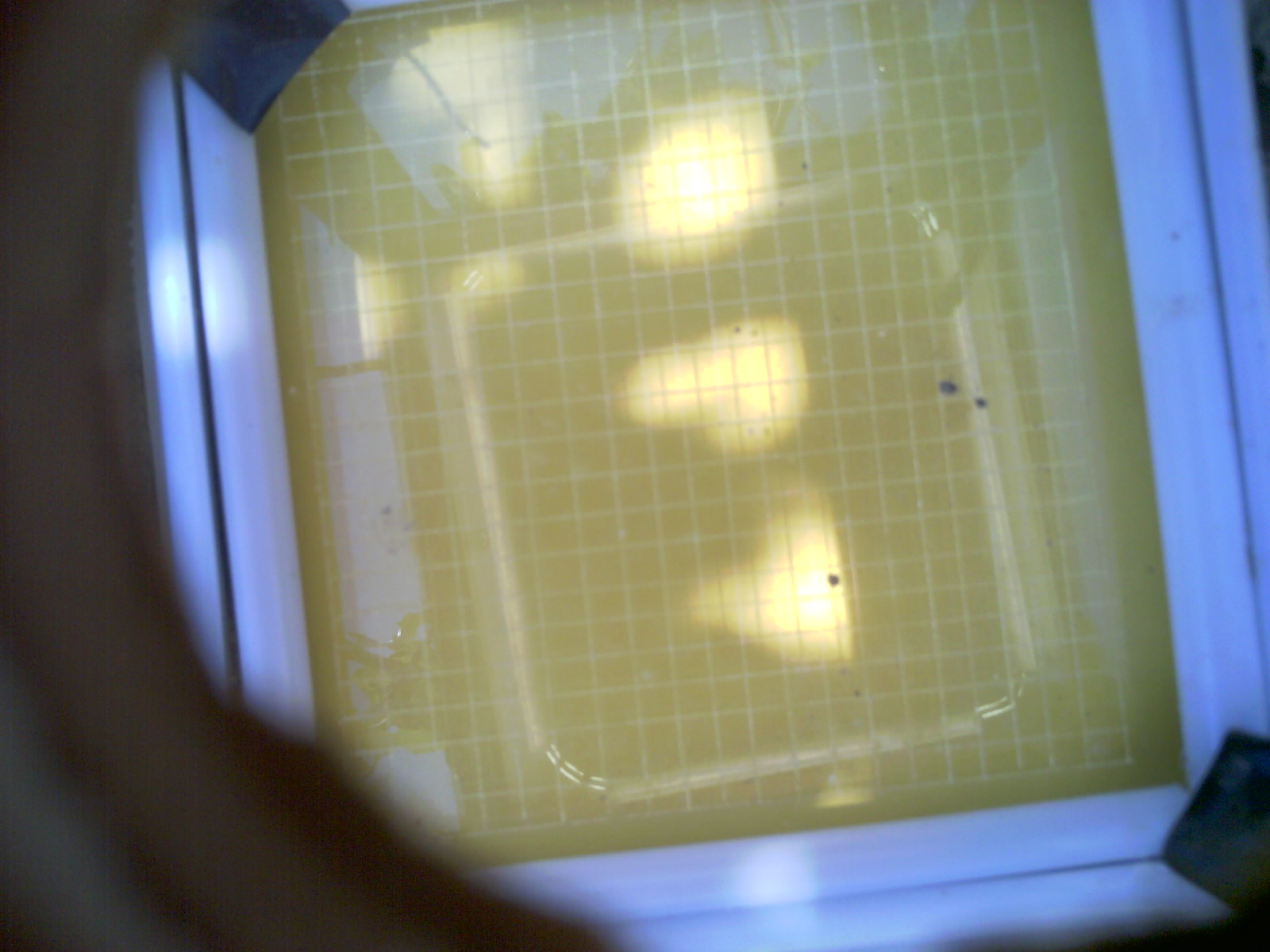 20260701_122004_UXGA_Q3.jpg