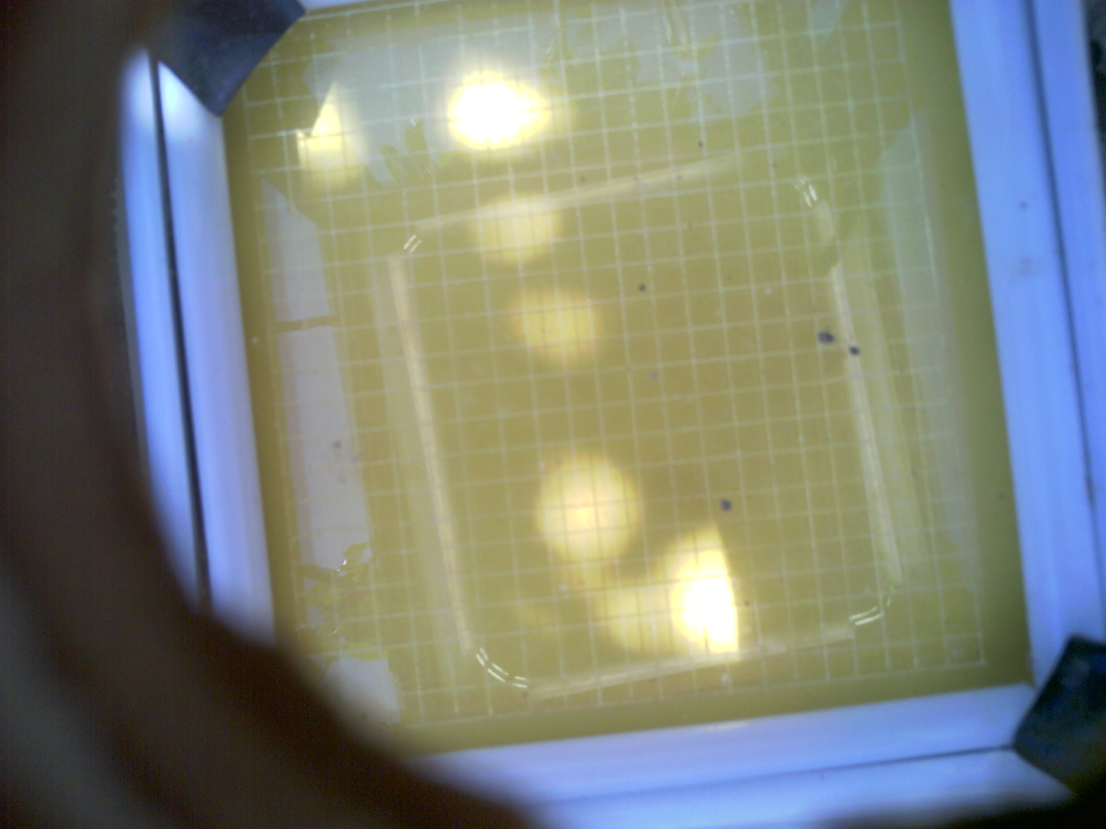 20260701_122545_UXGA_Q3.jpg