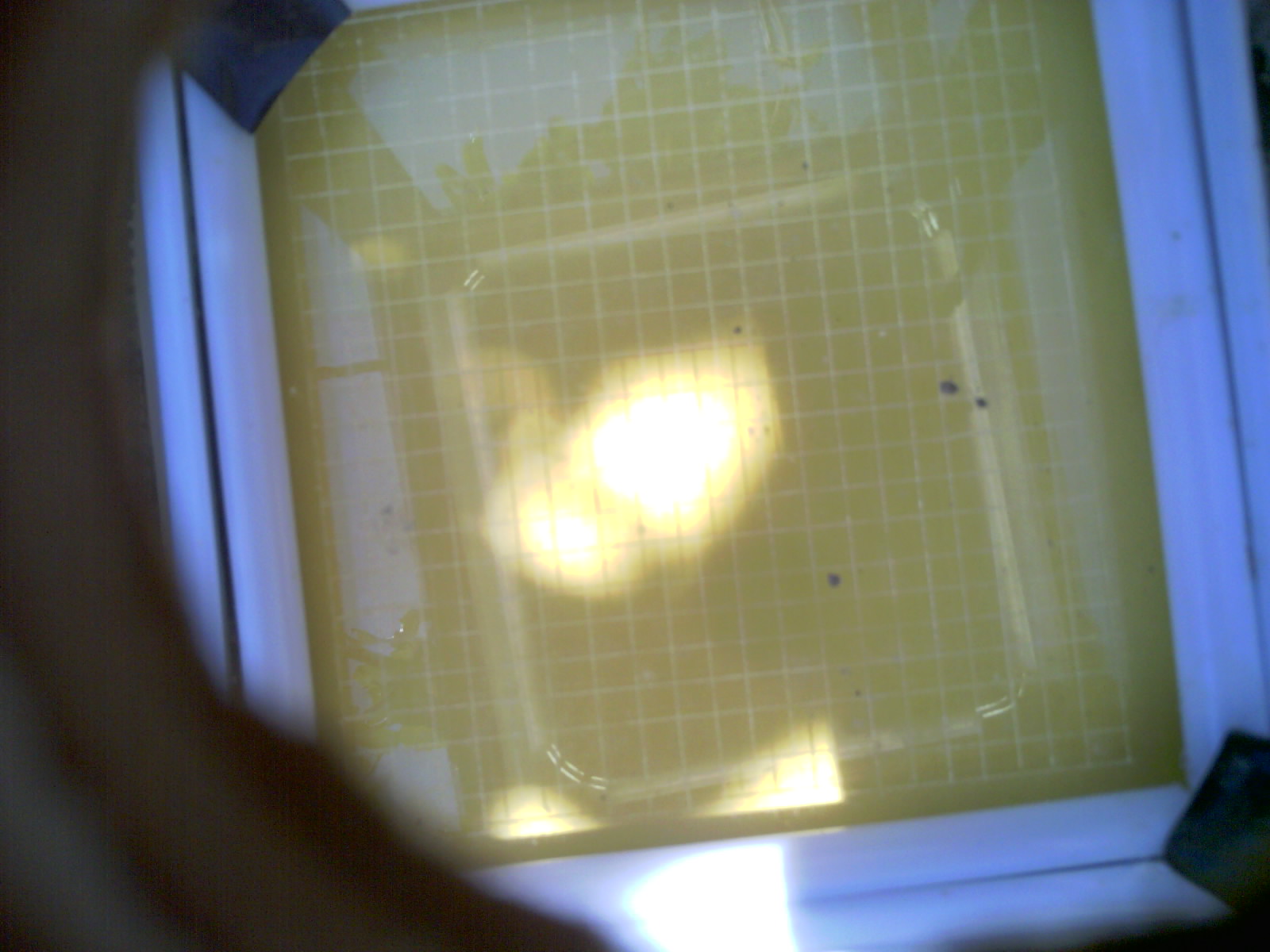 20260701_123129_UXGA_Q3.jpg