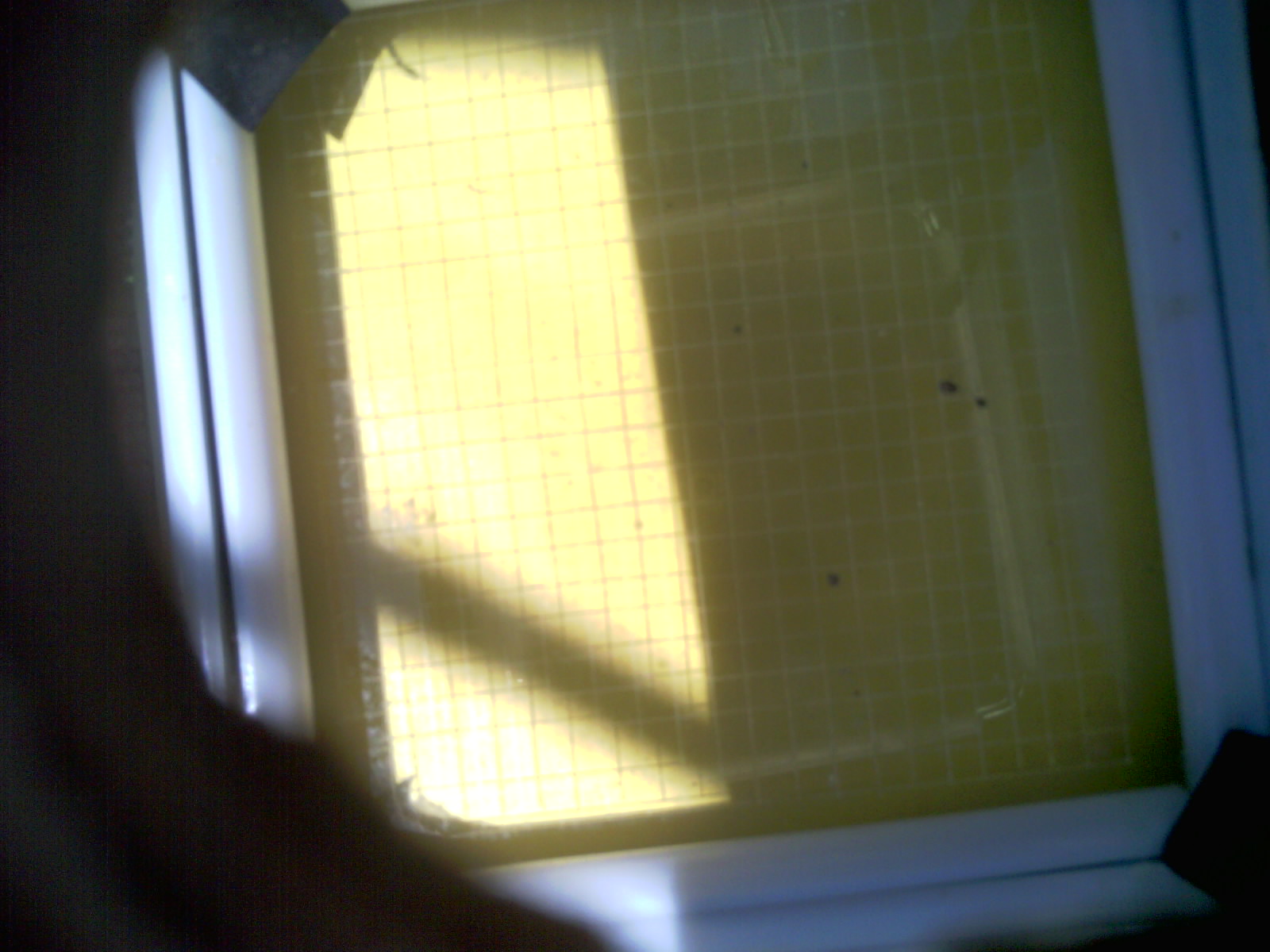 20260701_131257_UXGA_Q3.jpg