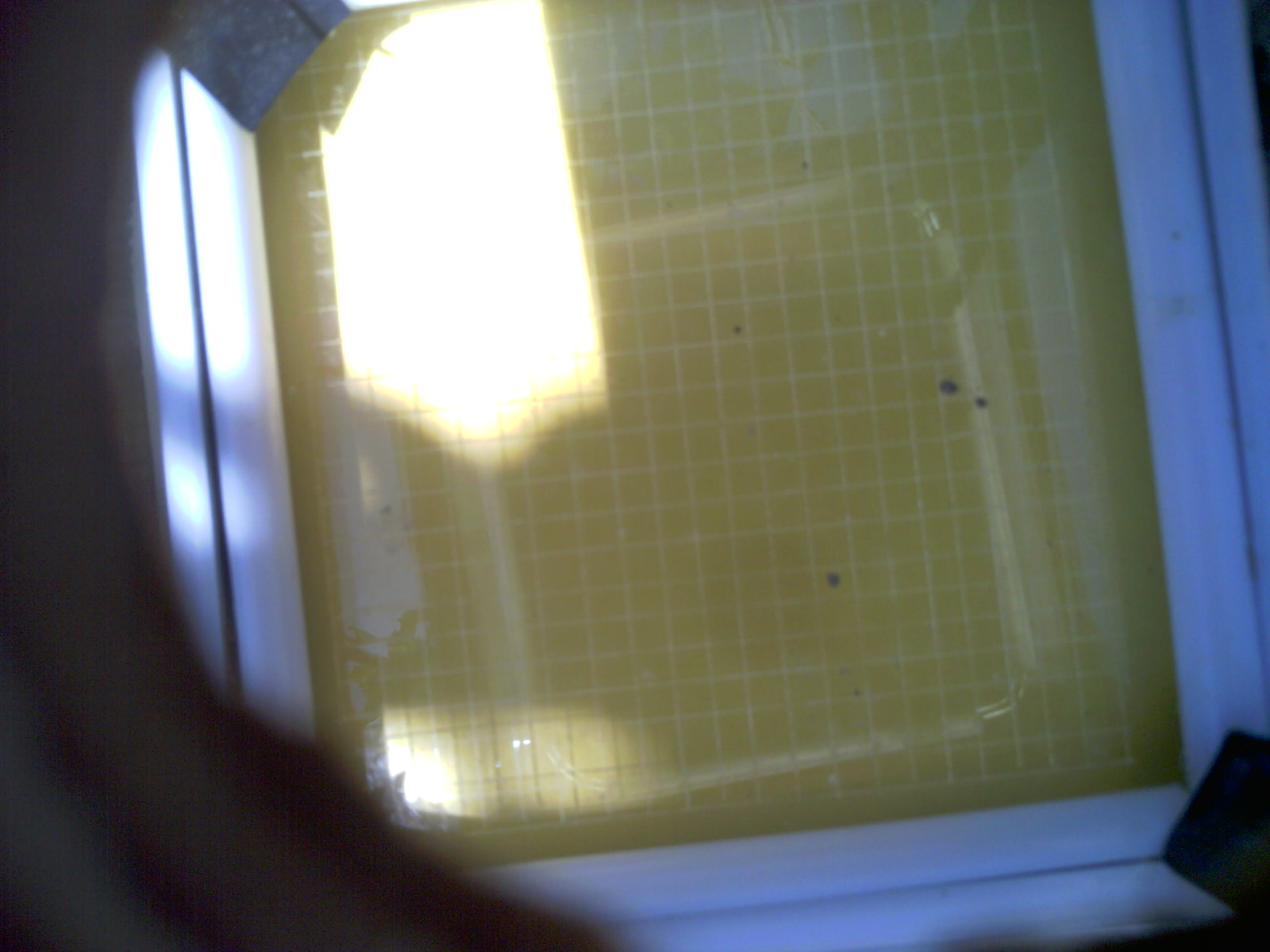 20260701_132733_UXGA_Q3.jpg