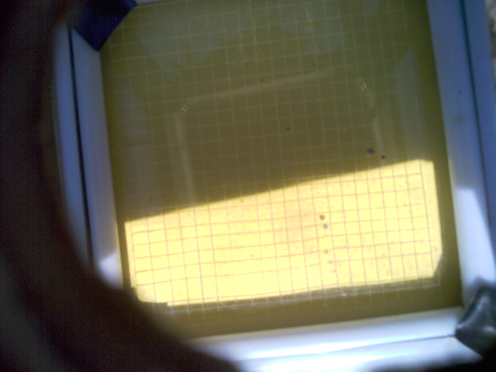 20260701_155012_UXGA_Q3.jpg