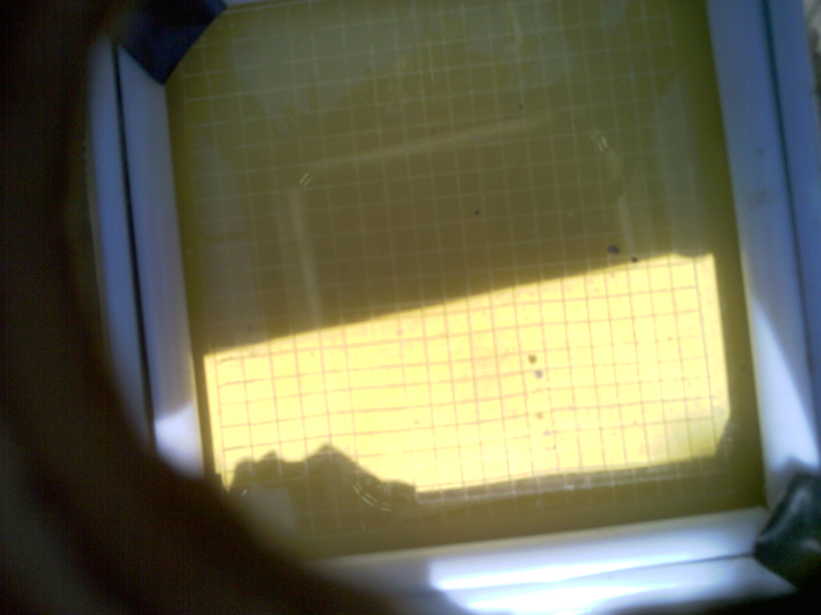 20260701_155702_UXGA_Q3.jpg